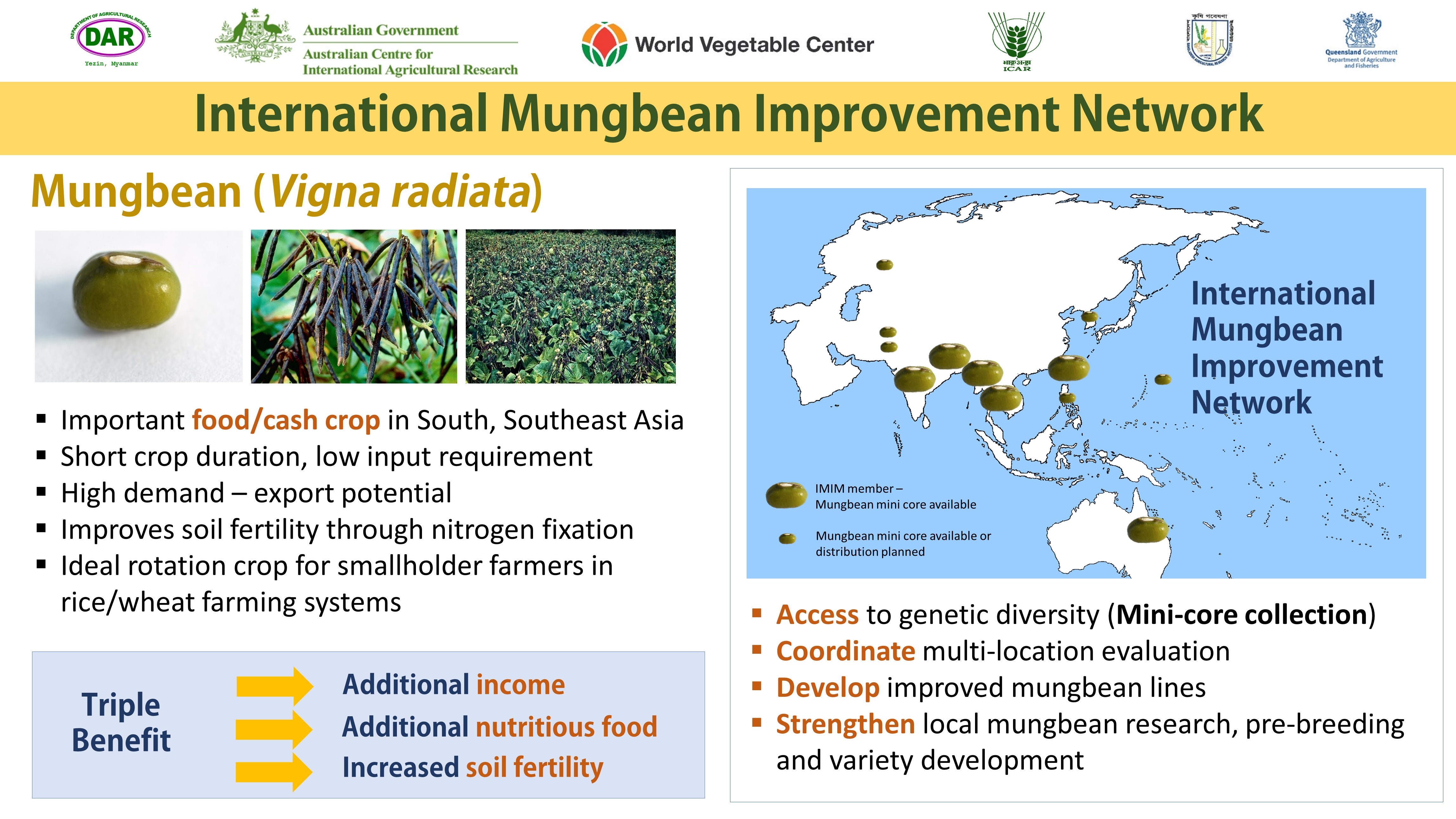 International Mungbean Improvement Network