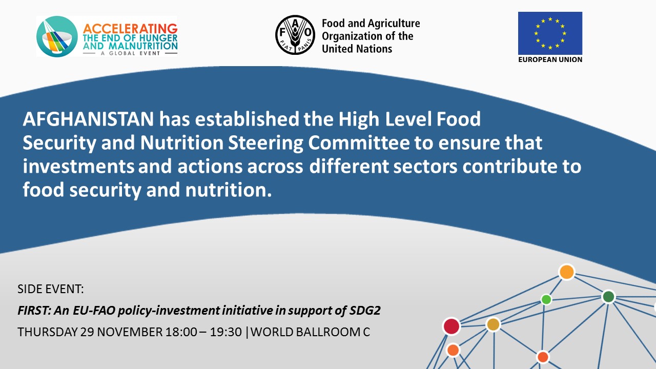 AFGHANISTAN has established the High Level Food Security and Nutrition Steering Committee to ensure that investments and actions across different sectors contribute to food security and nutrition